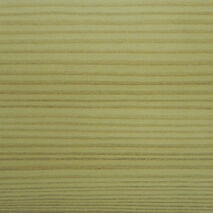 Сосна торрида