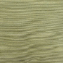 Сосна лоредо