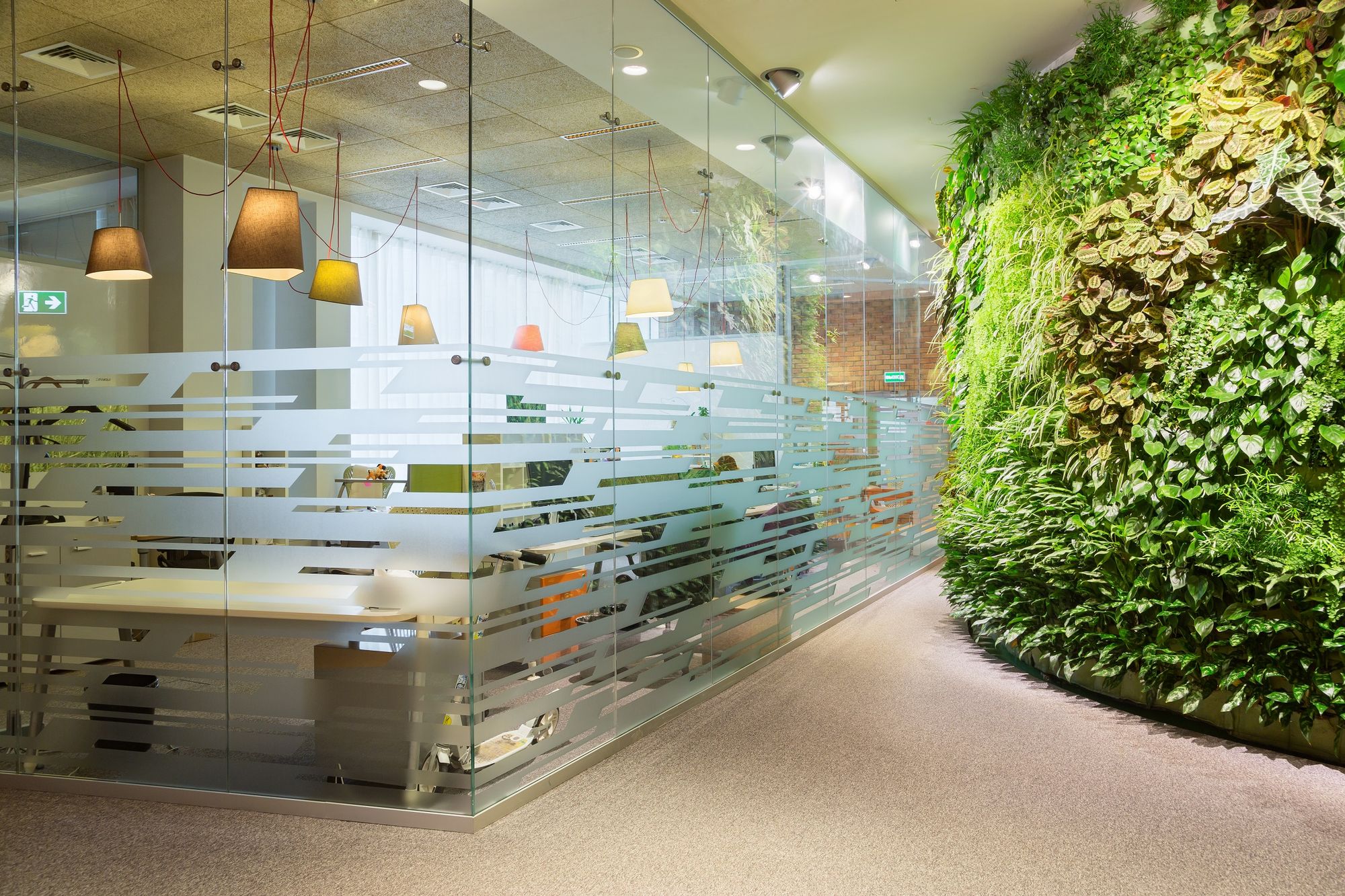 Фото Цельностеклянные перегородки UALCOM-Crystal