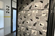 Фото Ualcom продолжает работать и строить планы на будущее.