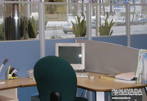 UALCOM-Blitz в проекте Набукас К